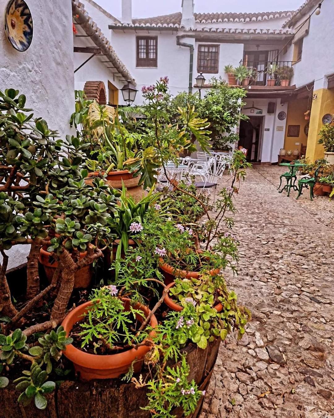 Hotel Rural Verde Oliva Комарес Экстерьер фото